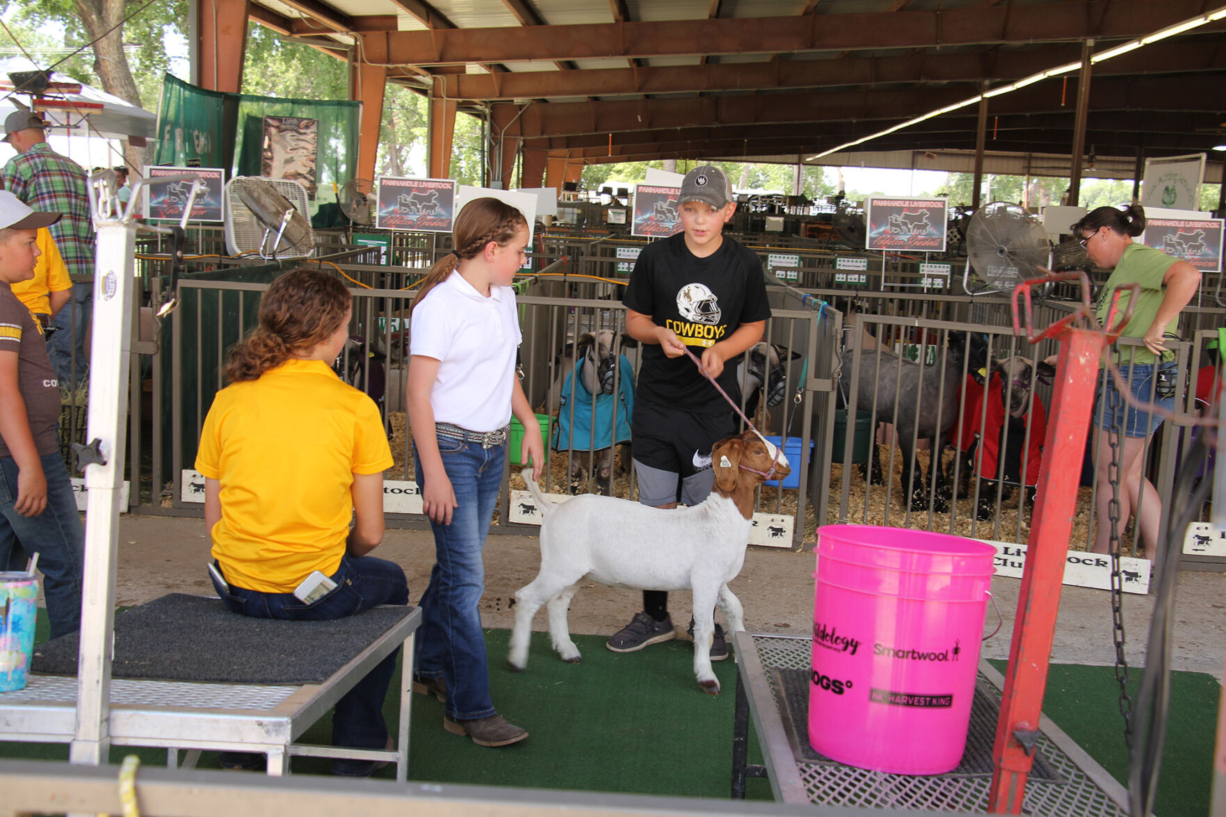 PHOTOS: More from the Scotts Bluff County Fair 2020